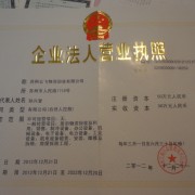 尊龙凯时人生就是博z6com品牌网