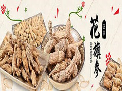 中国尊龙凯时人生就是博z6com品牌