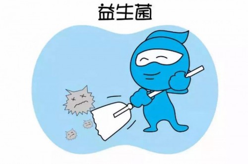 合理补充益生菌产品有哪些好处？益生菌排行