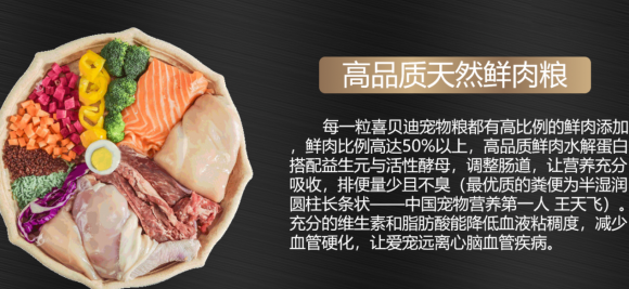 中国尊龙凯时人生就是博z6com品牌网