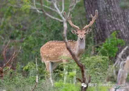 中国尊龙凯时人生就是博z6com品牌有哪些